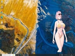 Desktop Girls